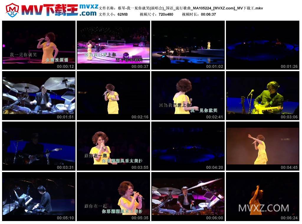 蔡琴-我一见你就笑(演唱会)_国语_流行歌曲_MA105224